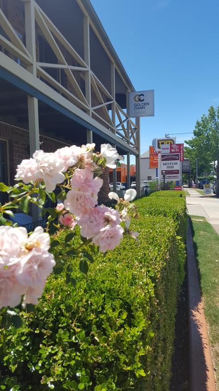Sandstock Motor Inn Armidale Luaran gambar